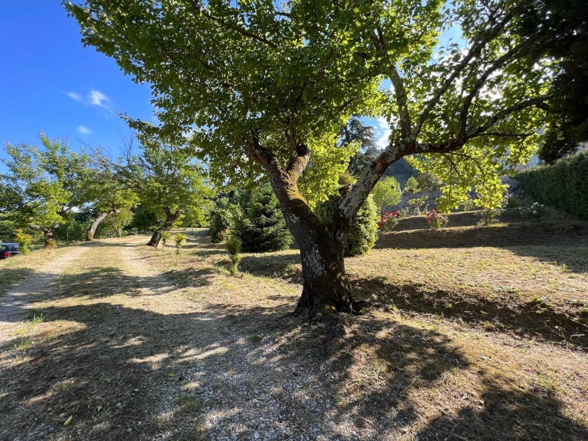Borgo Al Canto Degli Alberi Lucca Ngoại thất bức ảnh